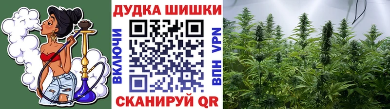 Канабис Bruce Banner  нарко площадка как зайти  Буй 